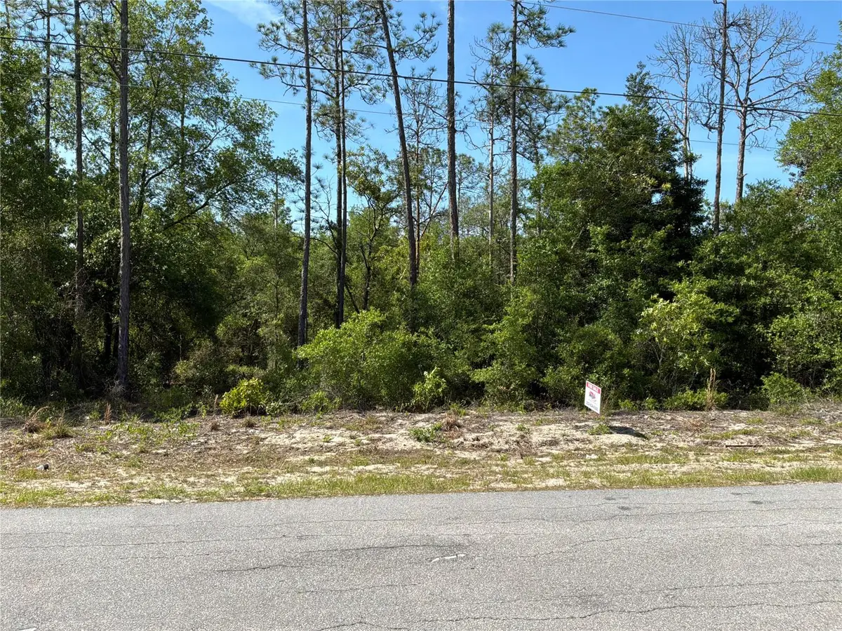 TBD SW Anchor Boulevard #20, Dunnellon, FL 34431 - #1