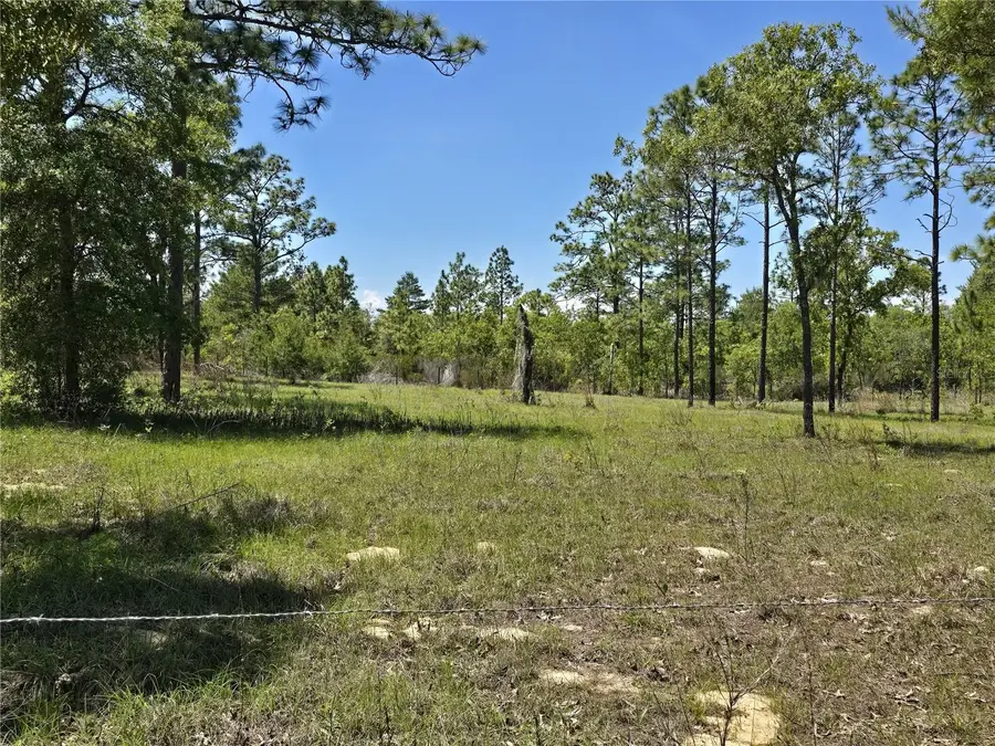 00 NE 129th Avenue, Williston, FL 32696 - #2