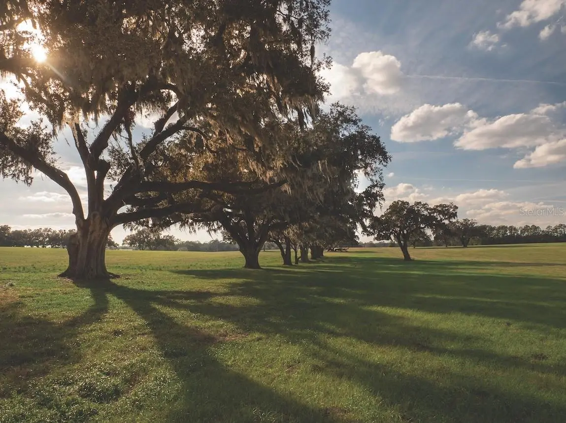 TBD NW Gainesville Road, Reddick, FL 32686 - #1