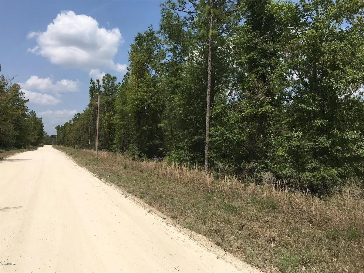 7231 NE 136th Avenue, Williston, FL 32696 - #1