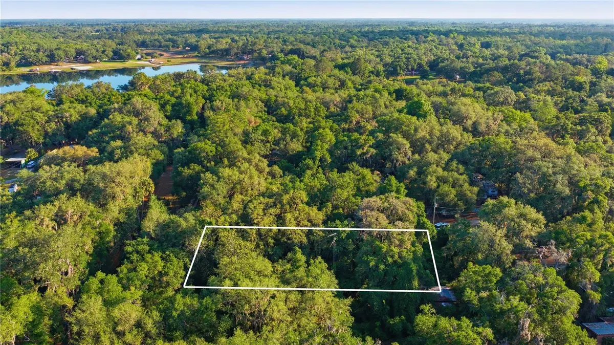 16780 SE 9th Street, Silver Springs, FL 34488 - #1