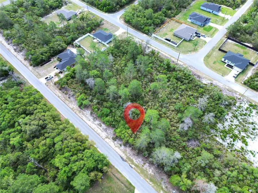 TBD Fisher Pass, Ocklawaha, FL 32179 - #2