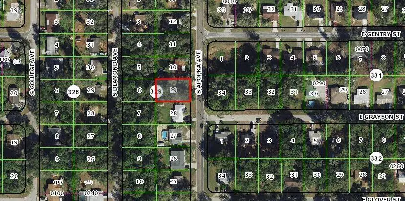 3678 S Apopka Avenue, Inverness, FL 34452 - #1