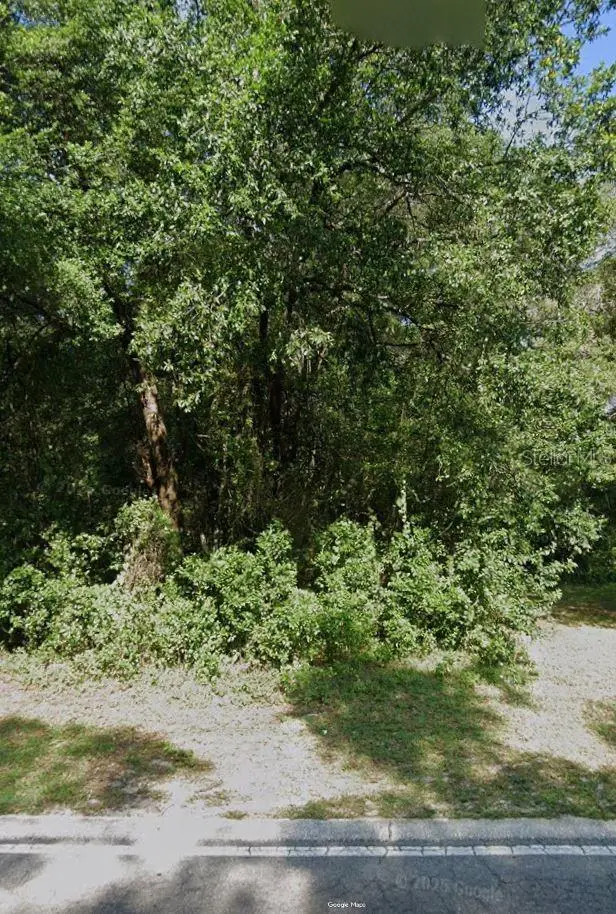 3678 S Apopka Avenue, Inverness, FL 34452 - #2