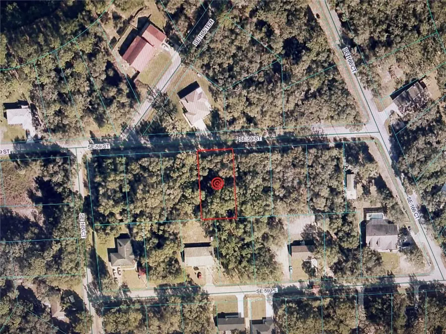 16604 SE 59th Street, Ocklawaha, FL 32179 - #2