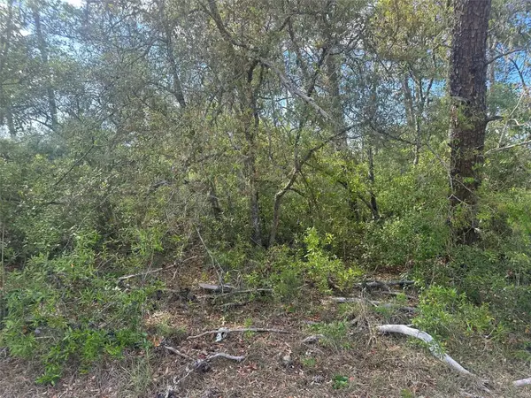 Lot 6 SW 170th Place, OCALA, FL 34473
