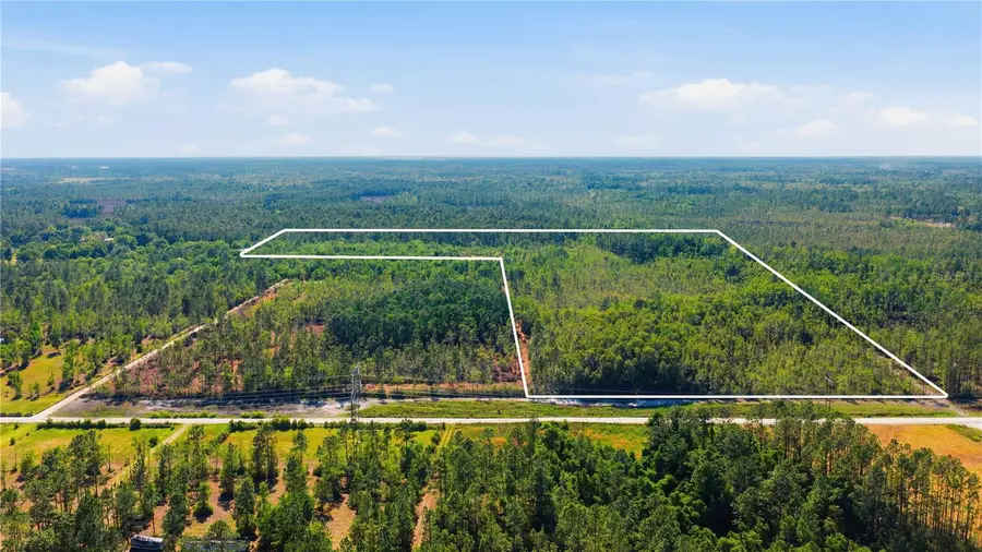 TBD NE 125th Avenue, Fort McCoy Anthony, FL 32134 - #3