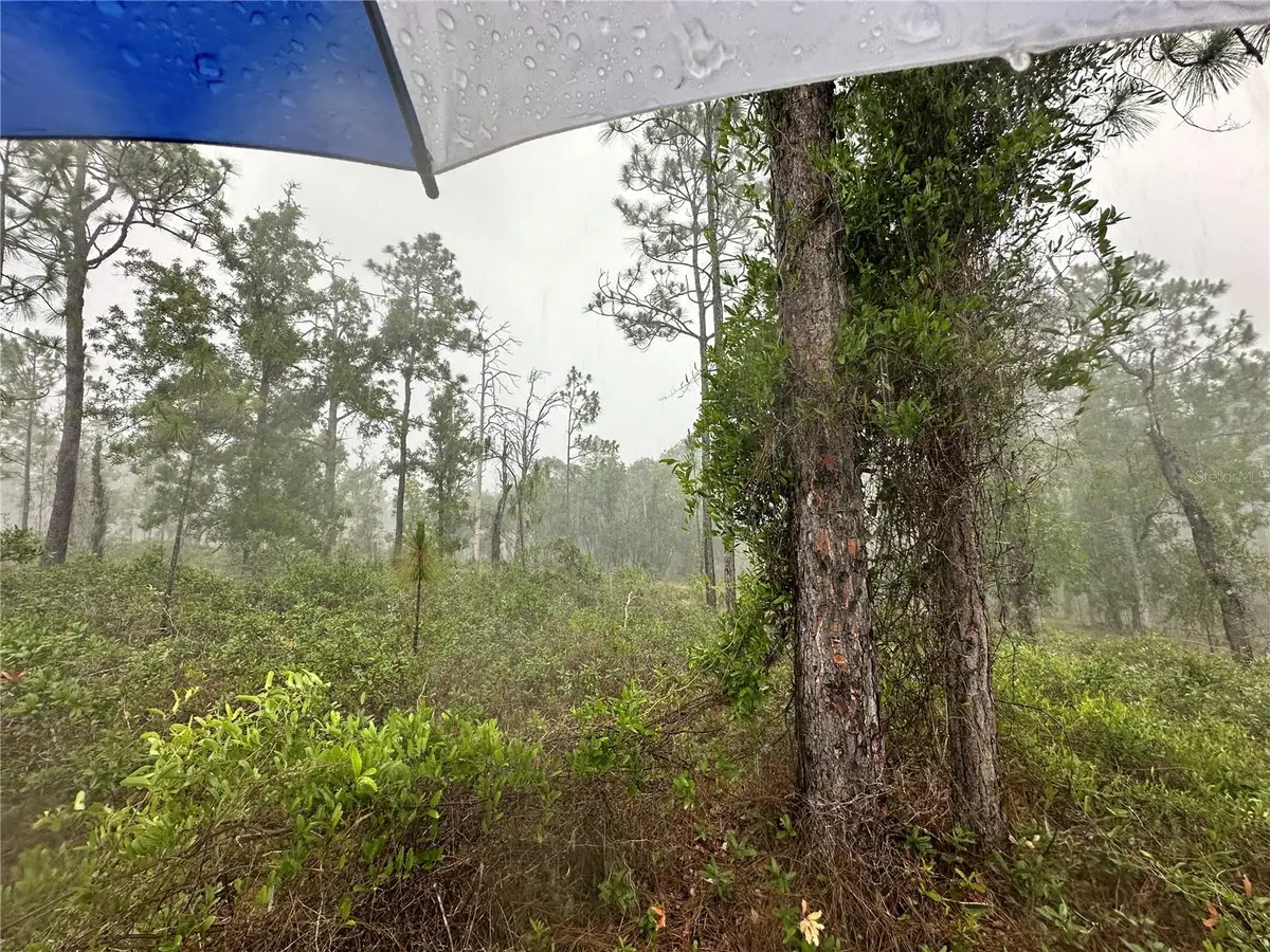 TBD SE 130th Court, Dunnellon, FL 34431 - #1