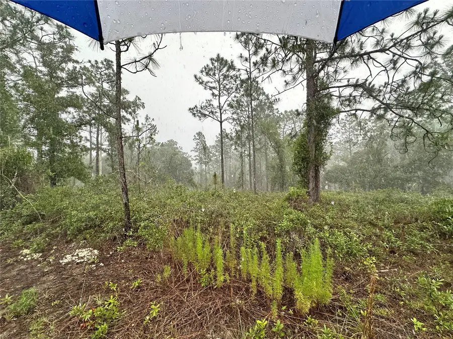 TBD SE 130th Court, Dunnellon, FL 34431 - #3