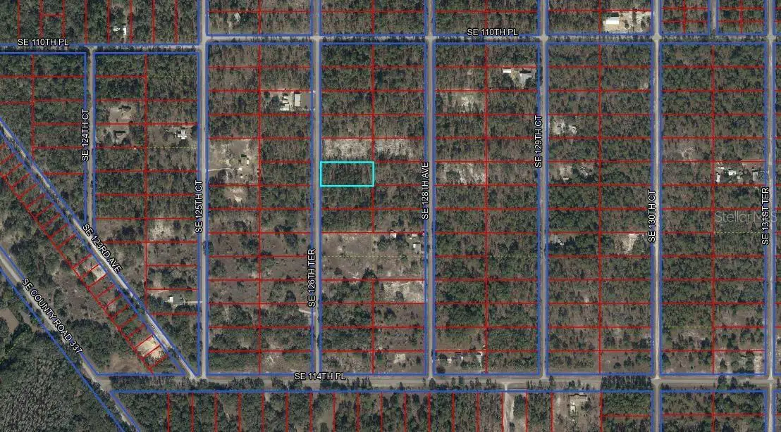 11211 SE 126th Terrace, Dunnellon, FL 34431 - #1