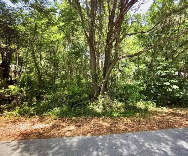 41 Pine Trace Course, OCALA, FL 34472