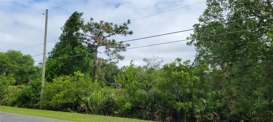 Ralston Street, Orlando, FL 32833 - #3