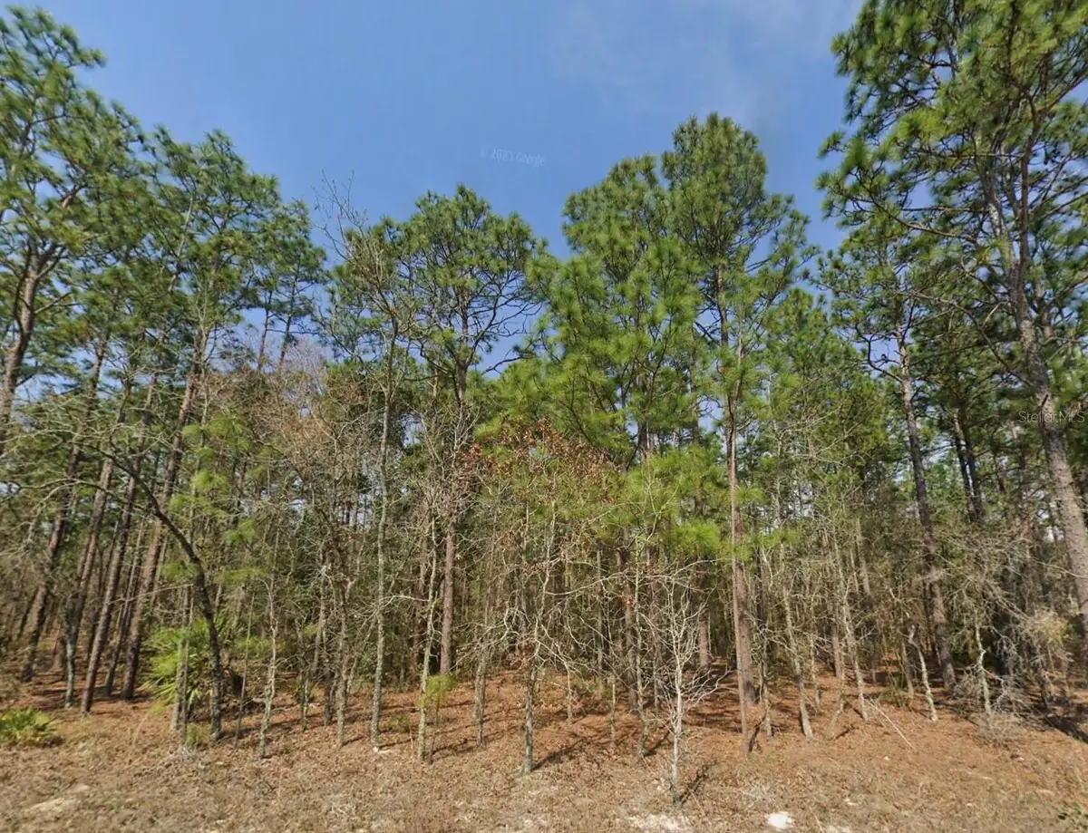 TBD (Lot 12) SW 128th Terrace Road, Ocala, FL 34481 - #1