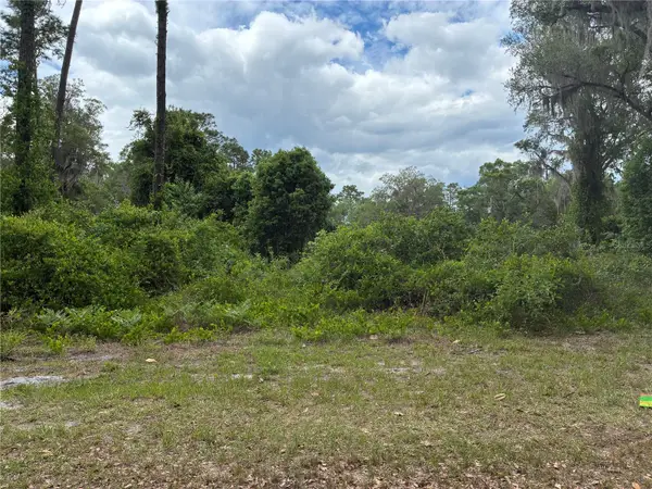 00 SE 87 Street, OCKLAWAHA, FL 32179