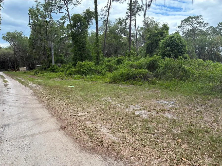00 SE 87 Street, Ocklawaha, FL 32179 - #2