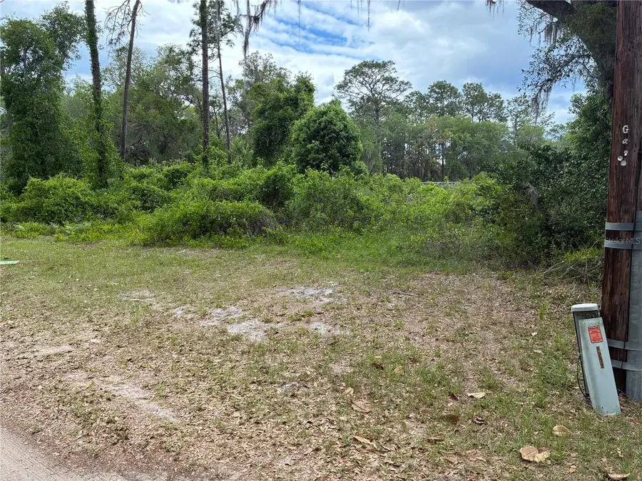 00 SE 87 Street, Ocklawaha, FL 32179 - #3