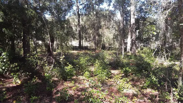 6887 W Dumaine Lane, DUNNELLON, FL 34433
