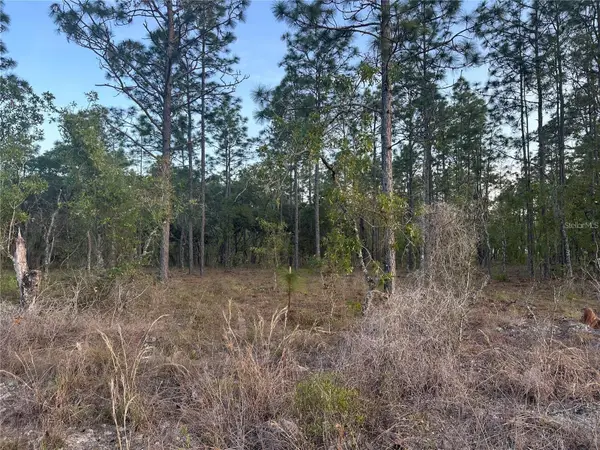 LOT 3 NW Amberjack Ave., DUNNELLON, FL 34431