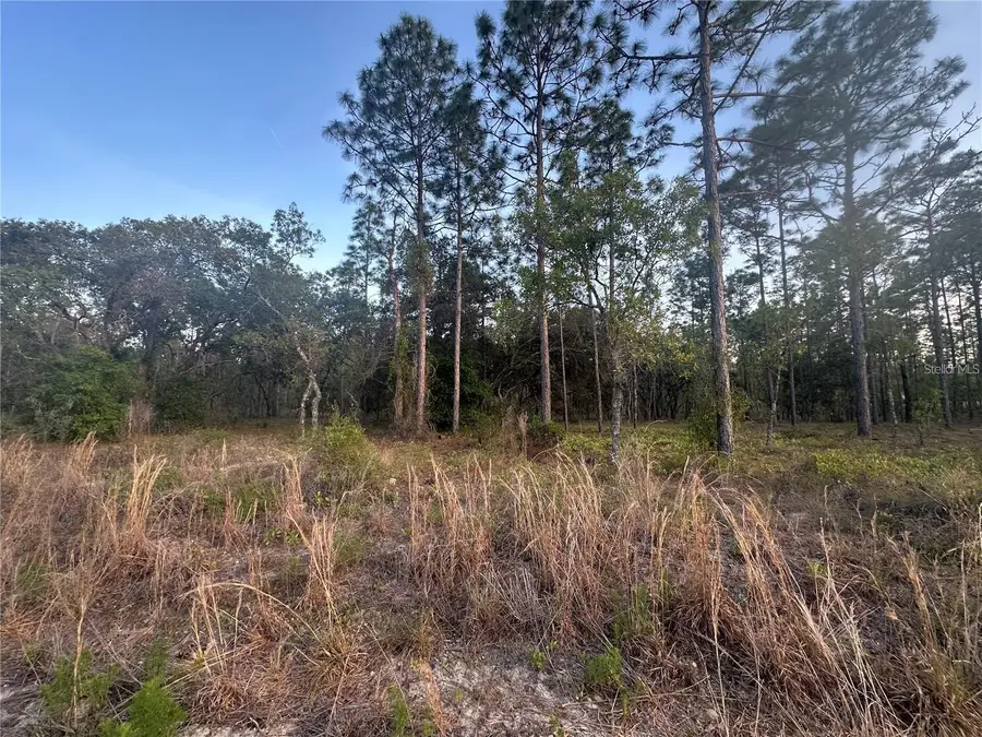 LOT 3 NW Amberjack Ave., Dunnellon, FL 34431 - #2