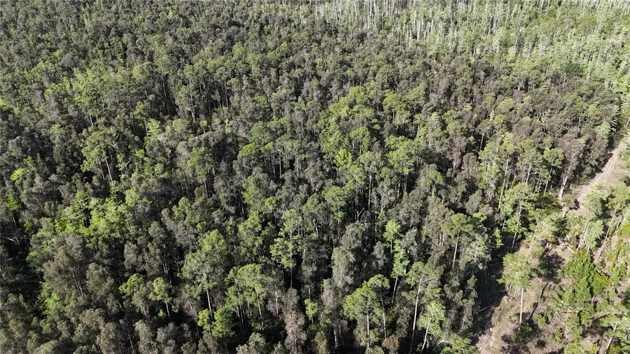 0, Naples, FL 34119 - #3