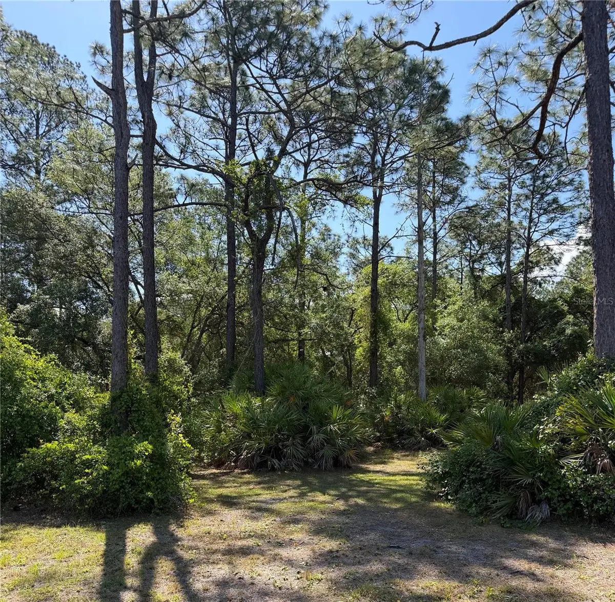 SE 180th Avenue Road, Ocklawaha, FL 32179 - #1