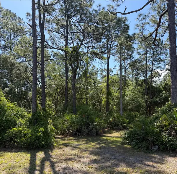 SE 180th Avenue Road, OCKLAWAHA, FL 32179