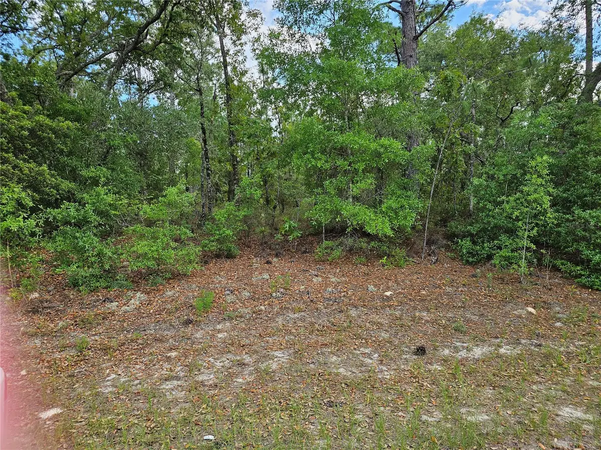 1681 W Skyline Drive, Dunnellon, FL 34434 - #1