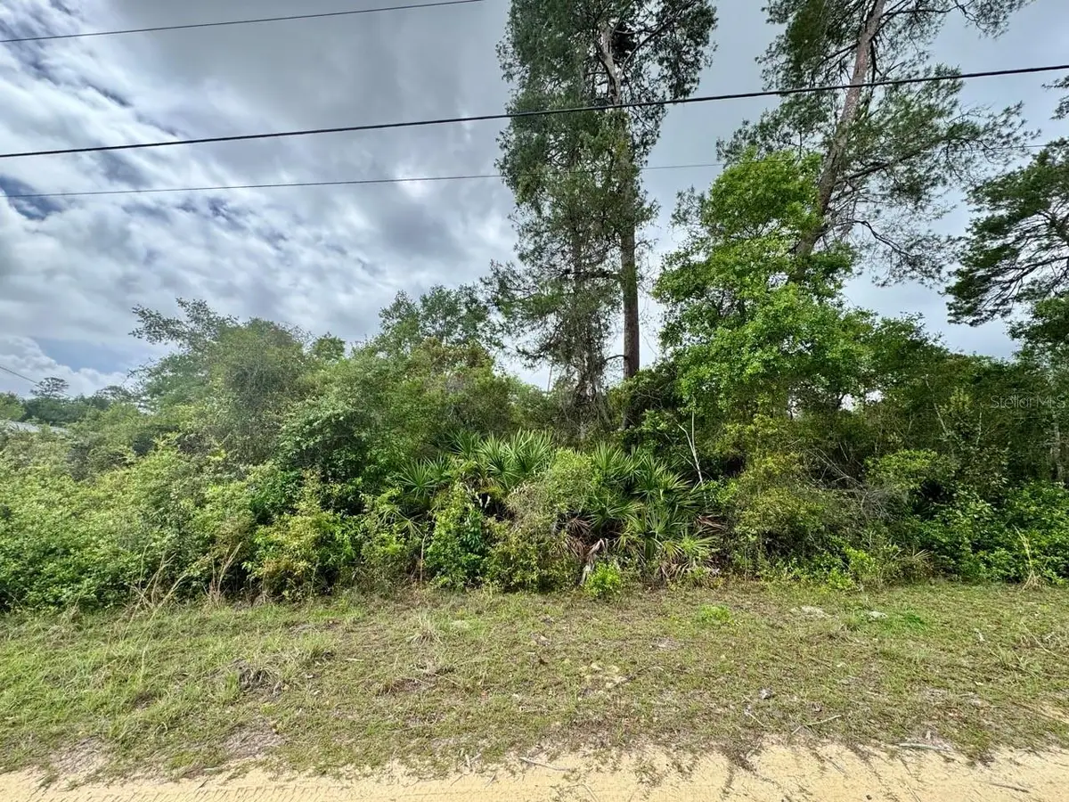 NE 134th Place, Salt Springs, FL 32134 - #1
