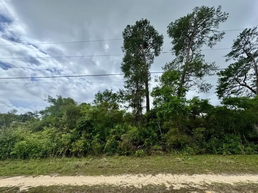 NE 134th Place, Salt Springs, FL 32134 - #3