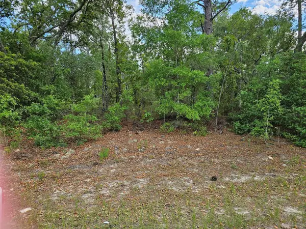 9440 N Old Mill Way, DUNNELLON, FL 34434