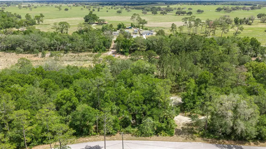 TBD SW Shorewood Drive, Dunnellon, FL 34431 - #2