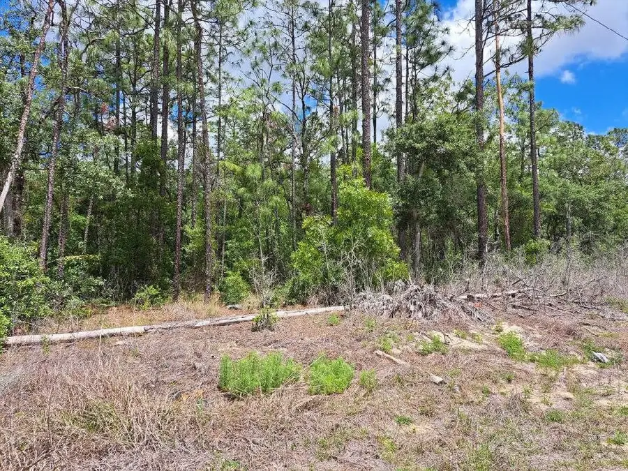 0 SW 64 Street Road, Ocala, FL 34481 - #3