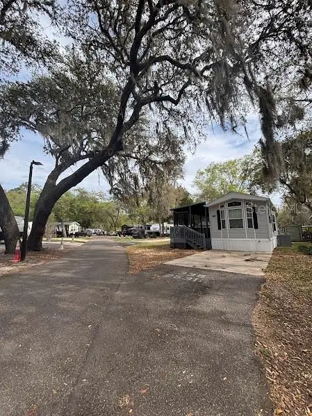 25316 140th Place Ne #335, Salt Springs, FL 32134 - #2