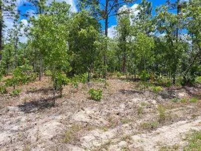 0 SW 87 Street, Dunnellon, FL 34432 - #3