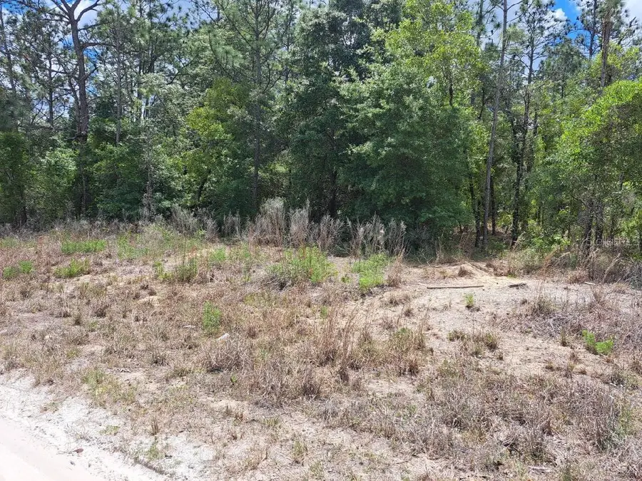 SW 89 Street, Dunnellon, FL 34432 - #3