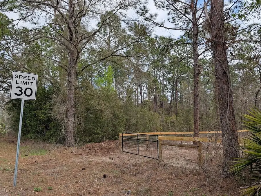 SW 129th Ter Road, Dunnellon, FL 34432 - #3