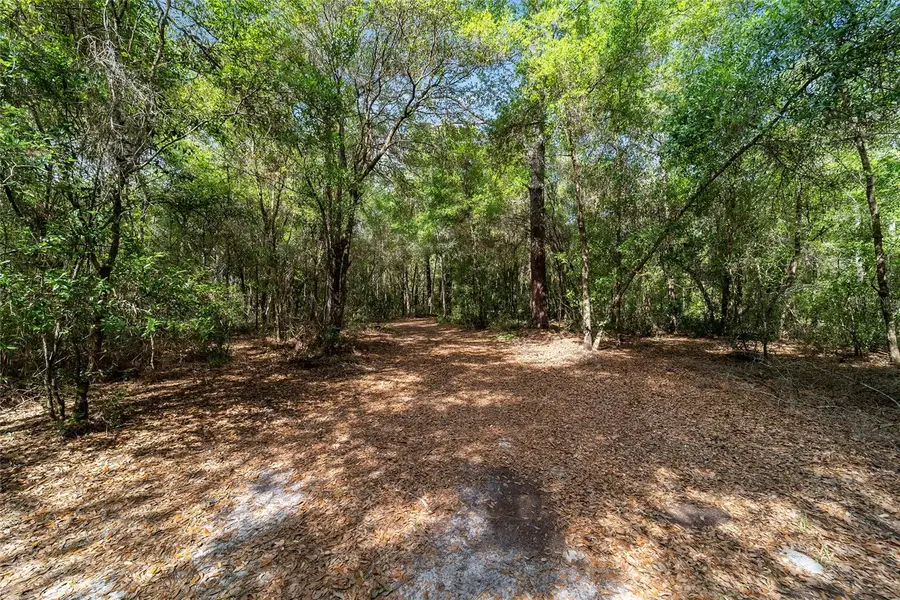 11953 N Glenview Avenue, Dunnellon, FL 34434 - #3