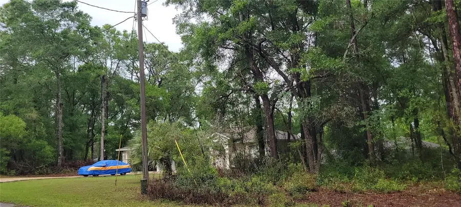 9781 N Loretta Way, Citrus Springs, FL 34434 - #3
