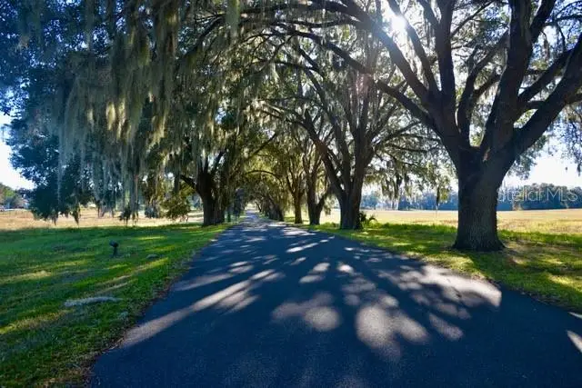 11920 SE 8th Avenue, Ocala, FL 34480 - #3