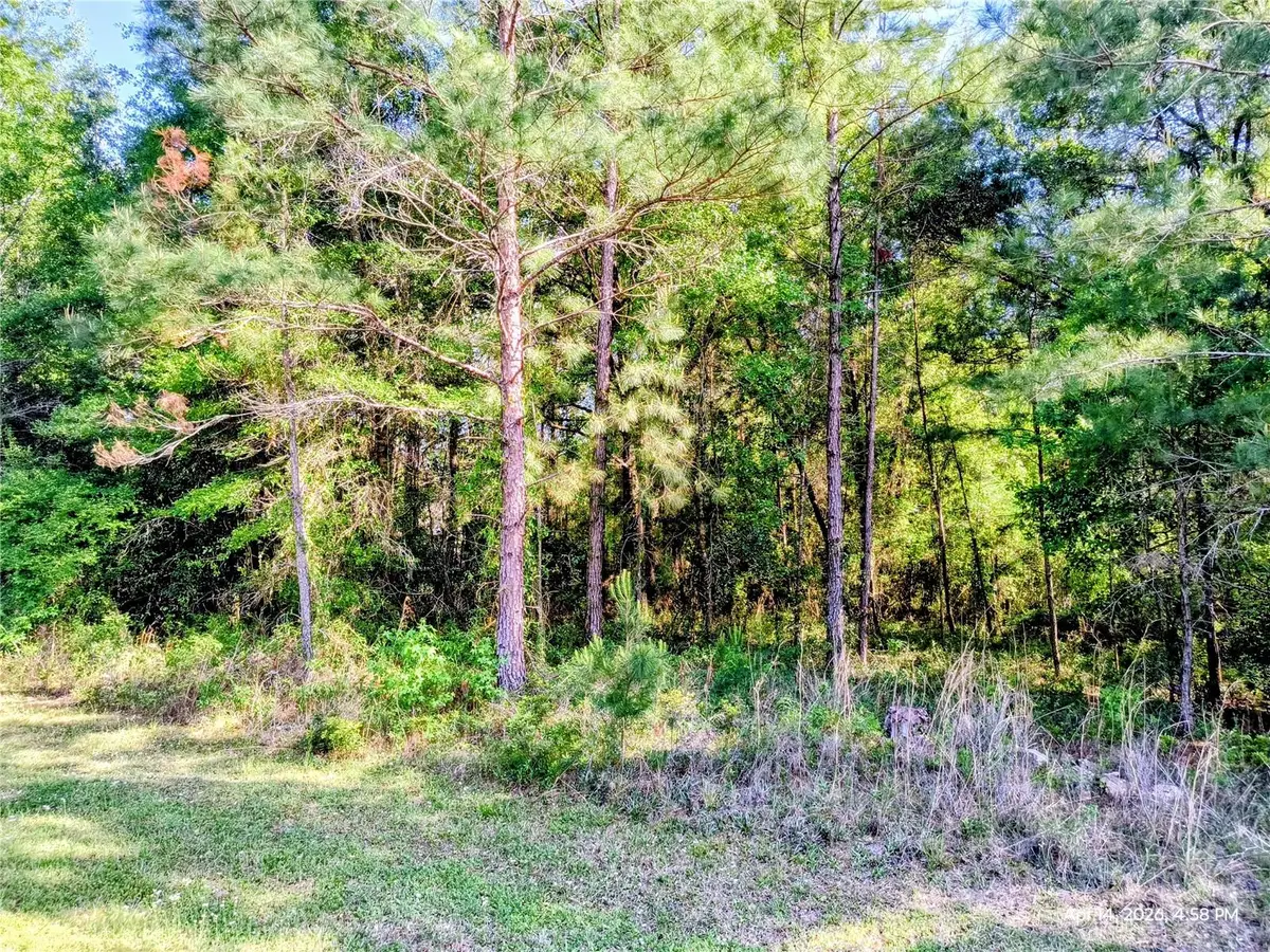 TBD NW 142nd Street, Williston, FL 32696 - #1