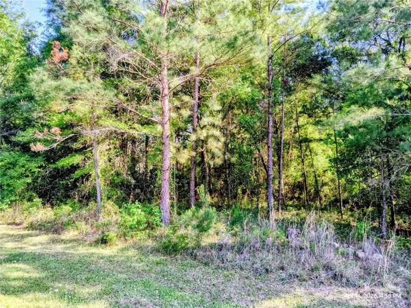 TBD NW 142nd Street, WILLISTON, FL 32696