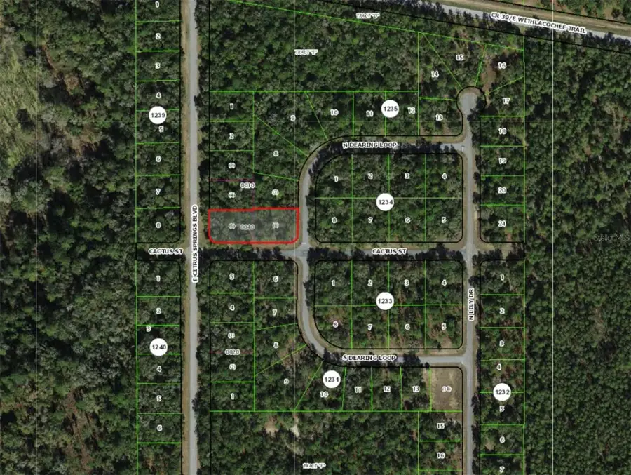 2054 E Citrus Springs Boulevard, Citrus Springs, FL 34434 - #2