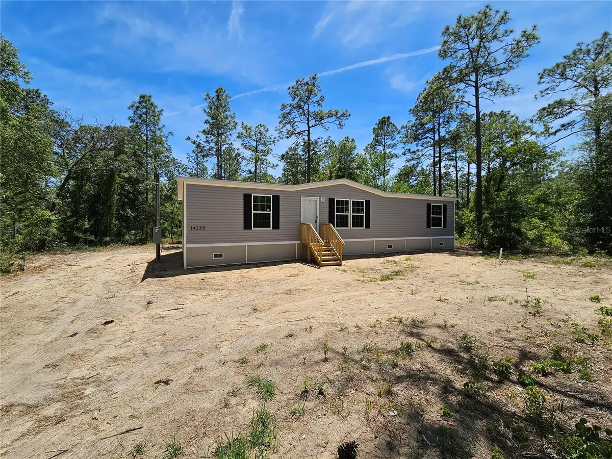 14230 SE 20th Street, Morriston, FL 32668 - #1