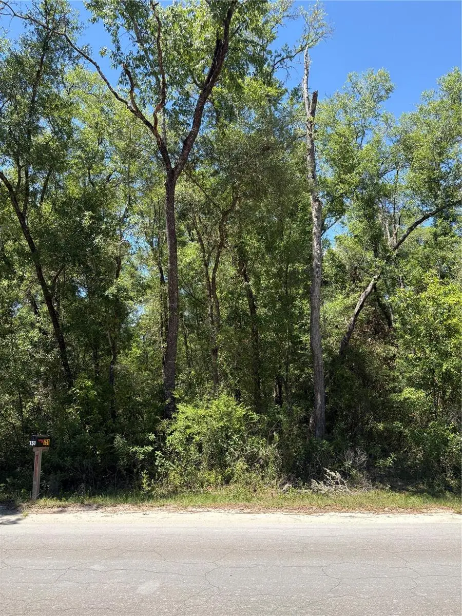 00 Ne 7th Place, Williston, FL 32696 - #1