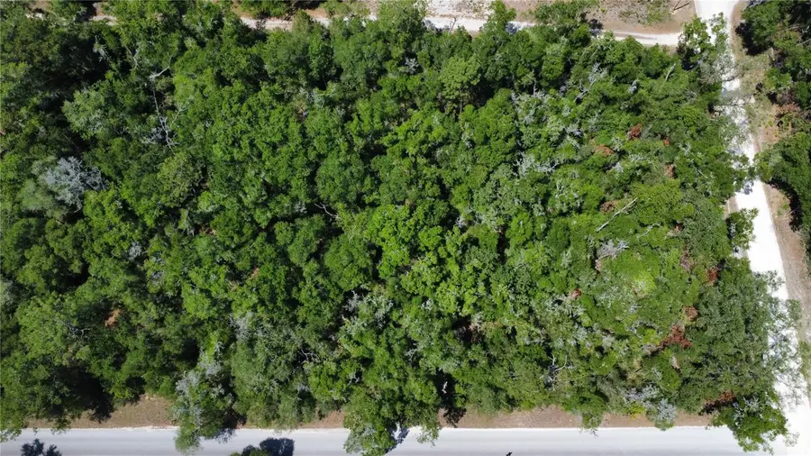 00 Ne 7th Place, Williston, FL 32696 - #2