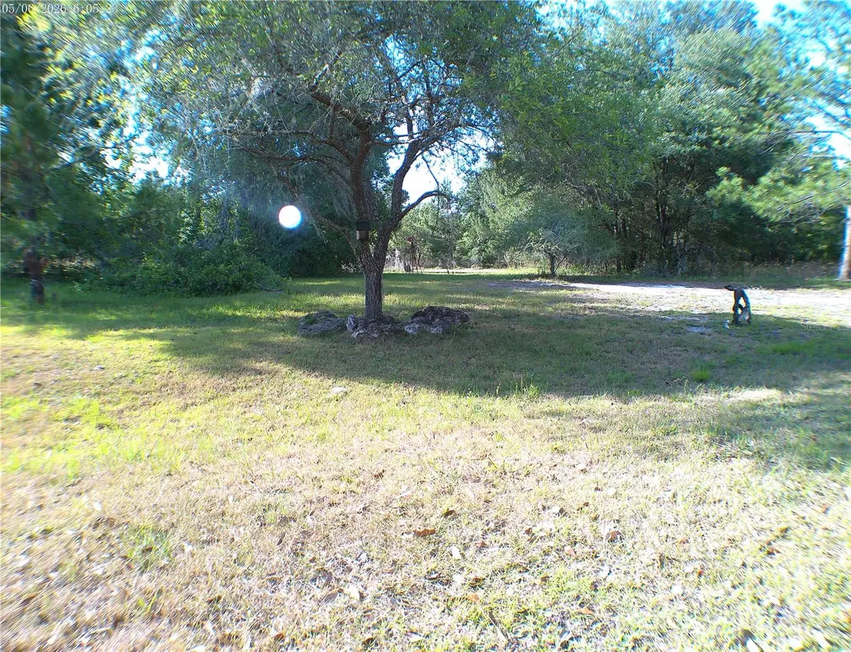 Sequoia Drive Trace, Ocklawaha, FL 32179 - #1