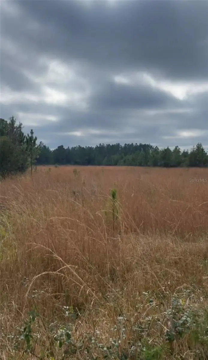 Ne 124th Ter, Fort McCoy Anthony, FL 32134 - #3
