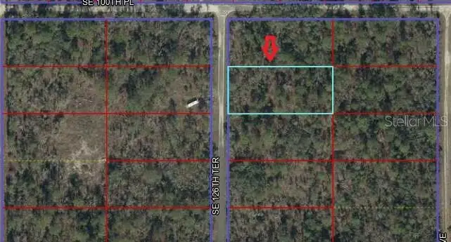00 Se 126th Terrace, Dunnellon, FL 34431 - #2