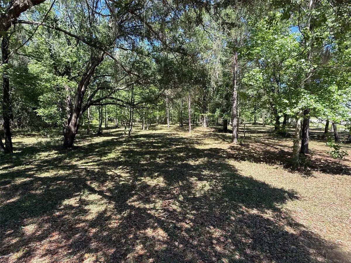0 NW 145 Avenue, Williston, FL 32696 - #1