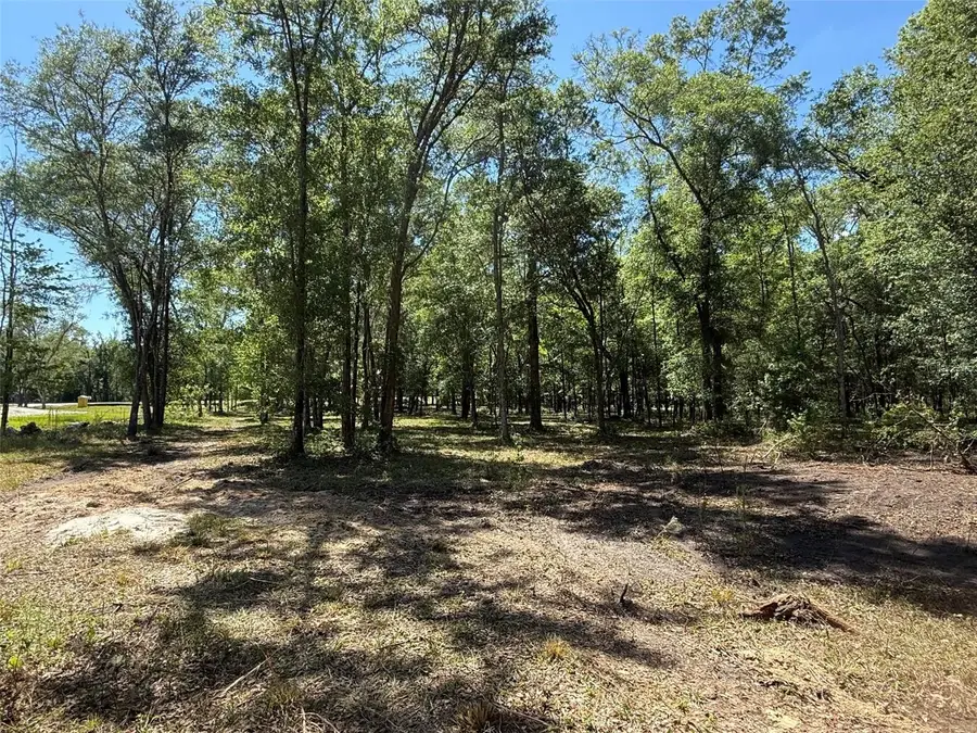 0 NW 145 Avenue, Williston, FL 32696 - #3